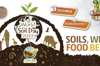 SOLO SAUDÁVEL PRODUZ MAIS ALIMENTOS E TRAZ BENEFÍCIOS AO MEIO AMBIENTE 